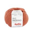 Big Merino Lachs (Fb.59)